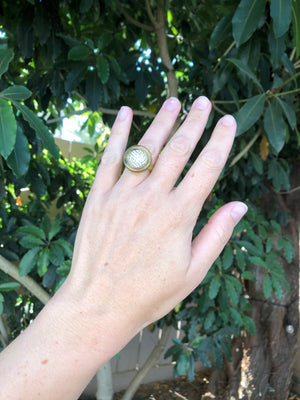 Sample Sale 2025 | Greens