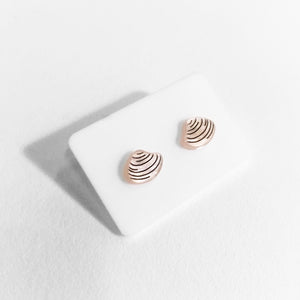 acrylic clam shell earrings